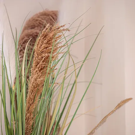 Regina - Somptueux 3 Pieces - Carre D'or - Vue * 멍똥