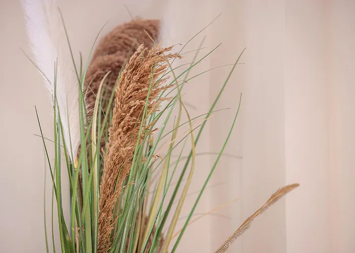 Regina - Somptueux 3 Pieces - Carre D'or - Vue * مينتون